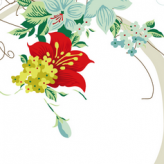 /heibanbao/qita/20190108/2239.html