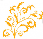 /heibanbao/qita/20190108/2216.html