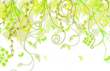 /heibanbao/qita/20190108/2195.html