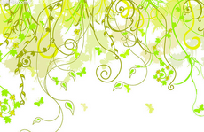 黑板报花边：万条垂下绿丝绦夏天黑板报花边图