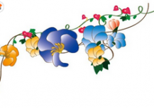 /heibanbao/qita/20190108/2404.html