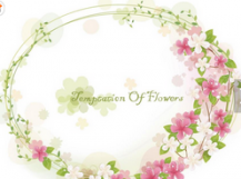 /heibanbao/qita/20190108/2352.html