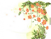 /heibanbao/qita/20190108/2356.html