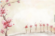 /heibanbao/qita/20190108/2329.html