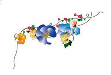 黑板报花边：小学生黑板报花边之朵朵花开