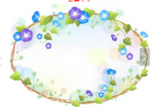 /heibanbao/qita/20190108/2215.html