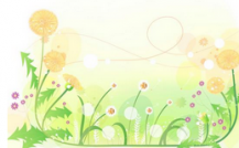 /heibanbao/qita/20190108/2102.html