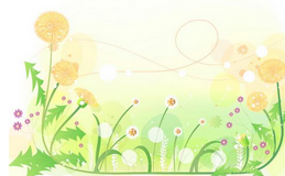 黑板报花边：纷飞的蒲公英