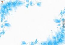 /heibanbao/qita/20190108/2020.html