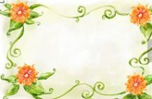 /heibanbao/qita/20190108/1859.html