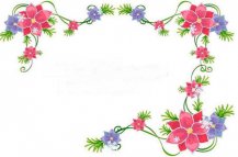 /heibanbao/qita/20190108/1783.html