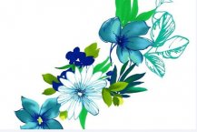 /heibanbao/qita/20190108/1601.html