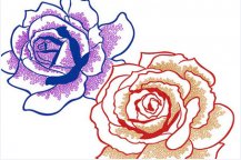 /heibanbao/qita/20190108/1584.html