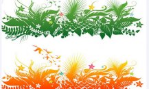 /heibanbao/qita/20190108/1738.html