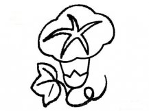 简笔画花：喇叭花