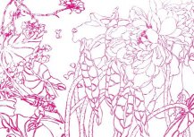 简笔画花：聪明的小花
