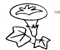 简笔画花：花儿