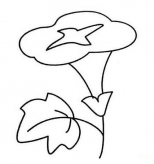 简笔画花：蔷薇画法