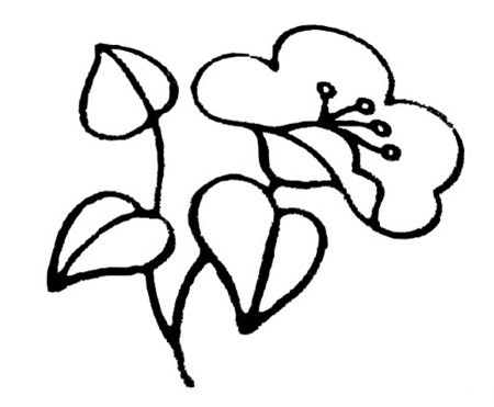 简笔画花:花儿绽放在这个秋天 简笔画花:花儿绽放在这个秋天