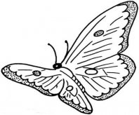 /jianbihua/dongwujianbi/50761.html