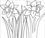 简笔画花：七色花
