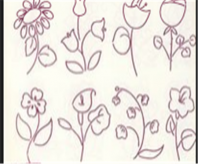 简笔画花：牡丹国色天香