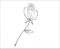 简笔画花：花的简笔画