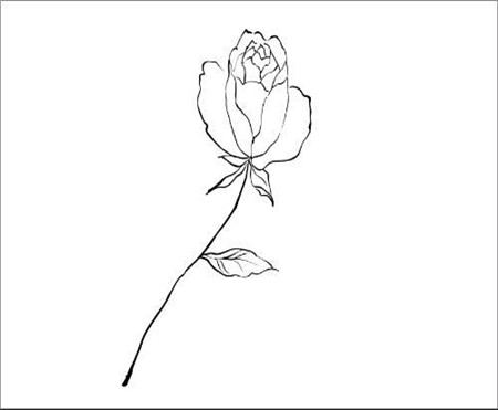 简笔画花：花的简笔画