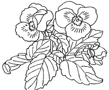 简笔画花:简笔画花 简笔画花:简笔画花