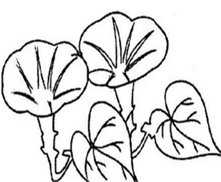 简笔画花:迎春花开放在枝头笑 简笔画花:迎春花开放在枝头笑