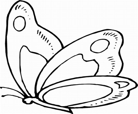 蝴蝶简笔画:捉蝴蝶 蝴蝶简笔画:捉蝴蝶